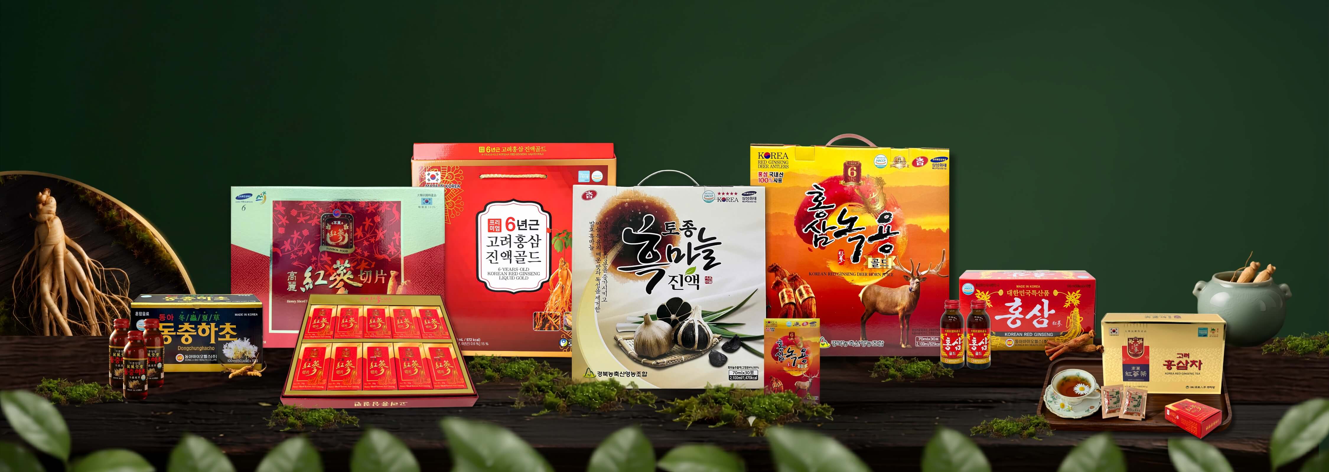 Banner Hoàng Vũ 1